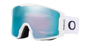 Goggle Example