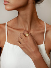 Ophidian Signet Ring in Gold