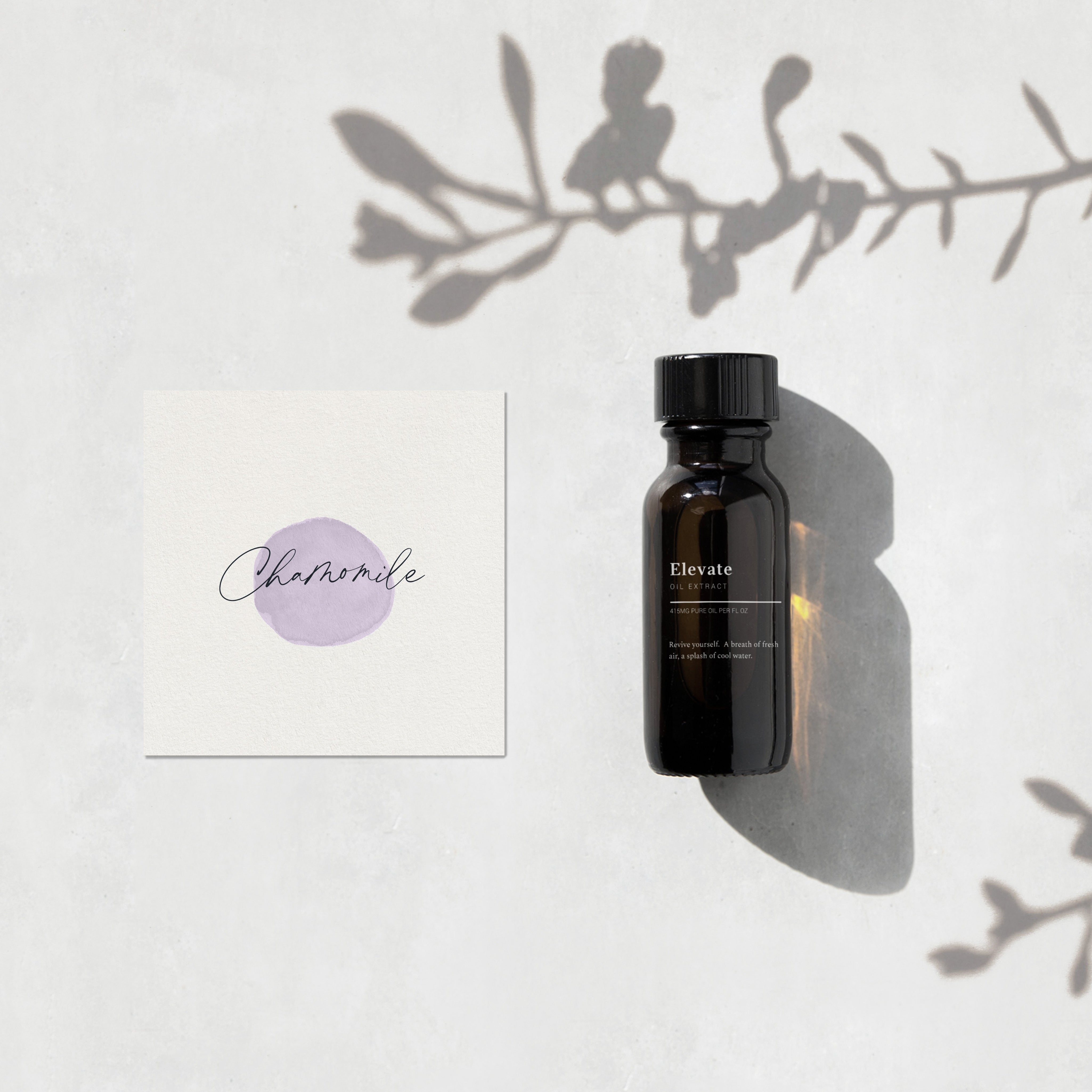 Chamomile